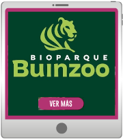 Buinzoo_polaroid_Pen_0